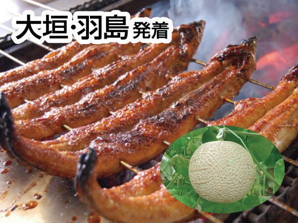 三河うなぎの兼光とメロン狩り(2025)