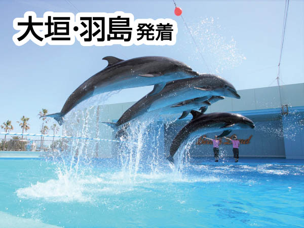 南知多海苔つみ初体験(2026)