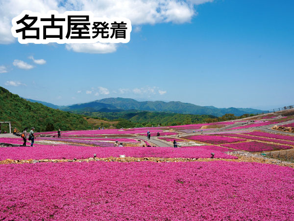 茶臼山高原と香嵐渓(2025)