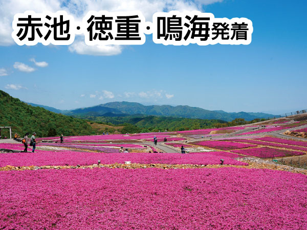 茶臼山高原と香嵐渓(2025)