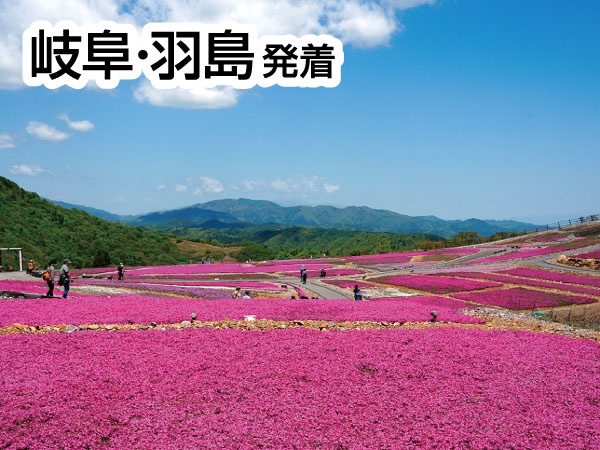 茶臼山高原と香嵐渓(2025)