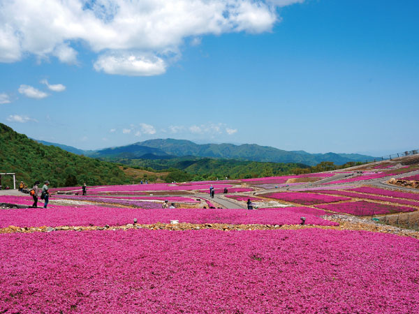 茶臼山高原と香嵐渓(2025)