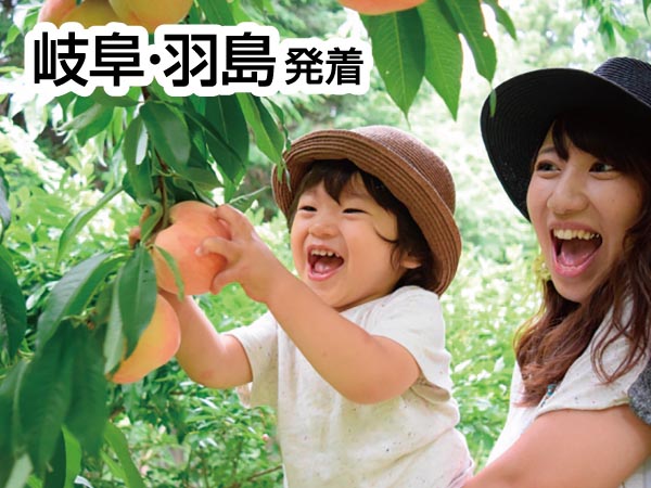 南信州もも狩り&ブルーベリー狩り(2025)