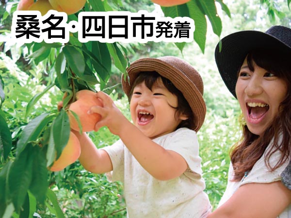 南信州もも狩り&ブルーベリー狩り(2025)