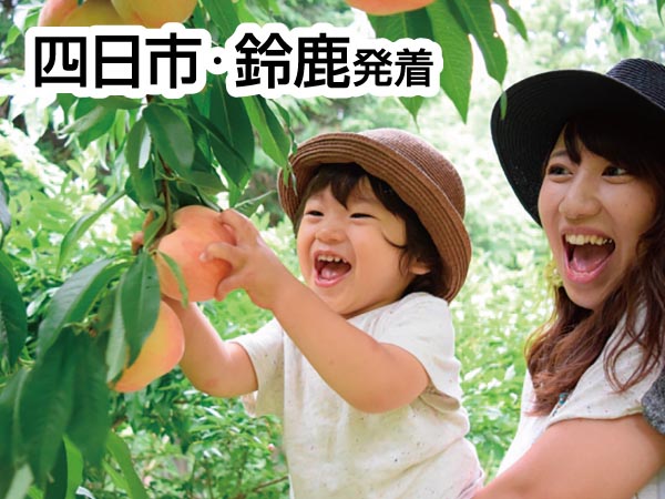 南信州もも狩り&ブルーベリー狩り(2025)