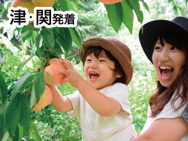 南信州もも狩り・もも食べ放題(2025)