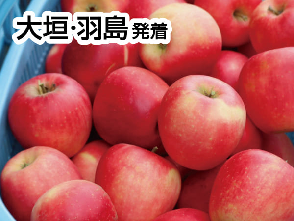 南信州りんご祭り(2025)