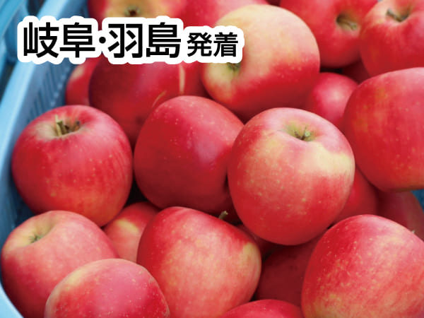 南信州りんご祭り(2025)