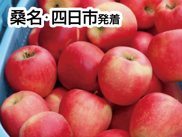 南信州りんご祭り(2025)