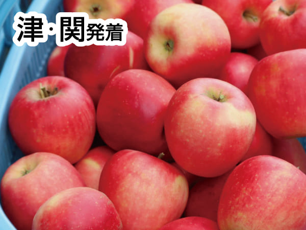 南信州りんご祭り(2025)