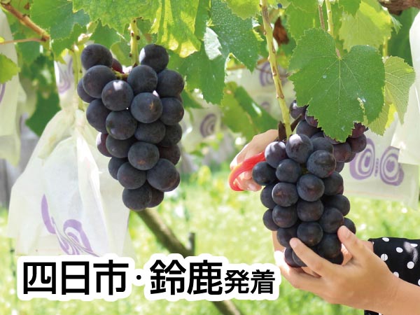 蒲郡・魚太郎オリジナル海鮮丼と巨峰狩2025