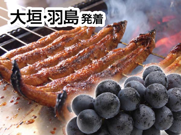 三河うなぎの兼光と巨峰狩り(2025)