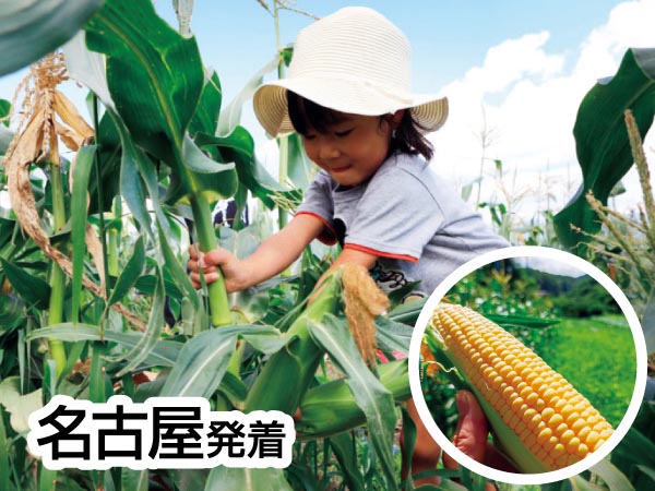伊那谷とうもろこし収穫祭&ブルーベリー狩り(25