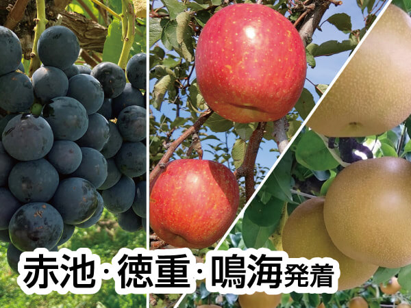 南信州ざくざく ぶどう・りんご・梨(2025)