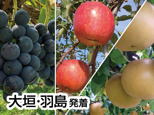 南信州ざくざく ぶどう・りんご・梨(2025)