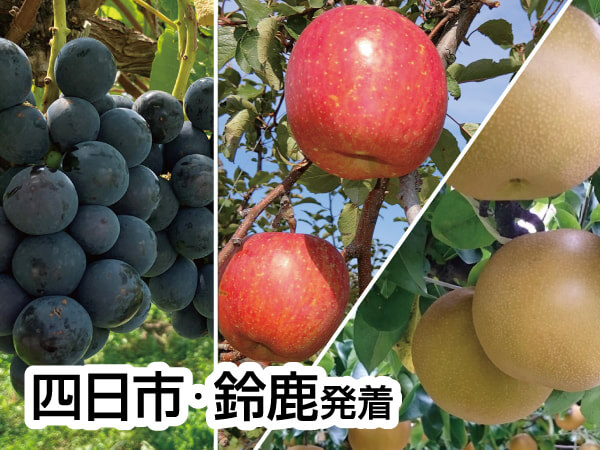 南信州ざくざく ぶどう・りんご・梨(2025)