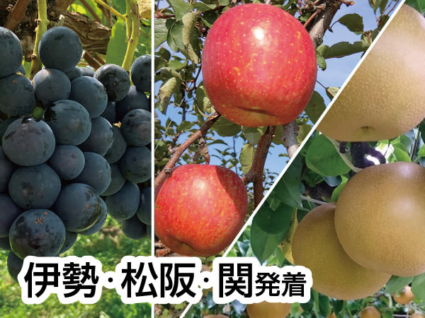 南信州ざくざく ぶどう・りんご・梨(2025)