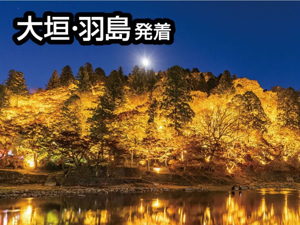香嵐渓ライトアップと小原四季桜(2025)