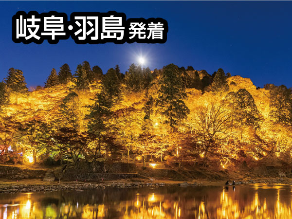 香嵐渓ライトアップと小原四季桜(2025)