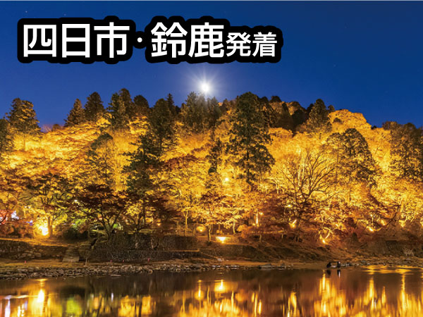 香嵐渓ライトアップと小原四季桜(2025)