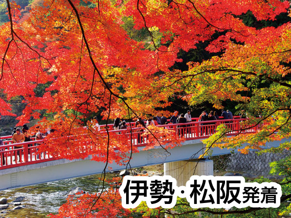 香嵐渓もみじと小原四季桜(2025)