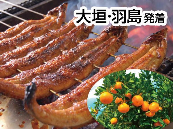 うなぎの兼光とみかん狩り(2025)