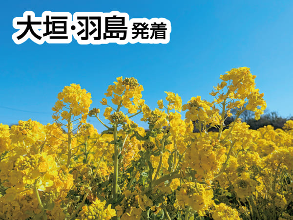 渥美の春まるかじり(2026)