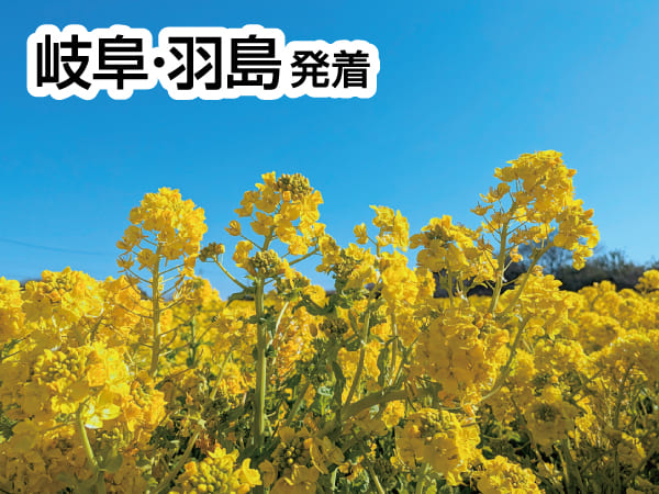 渥美の春まるかじり(2026)