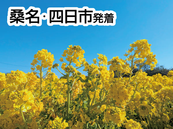 渥美の春まるかじり(2026)