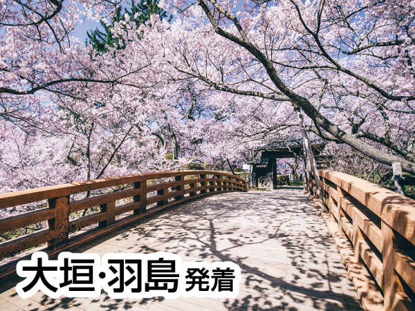 高遠小彼岸桜(2026)