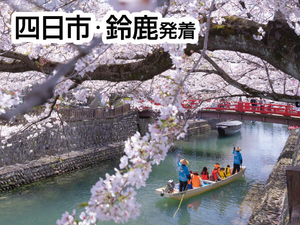 おおがき花見舟と根尾谷淡墨桜(2026)