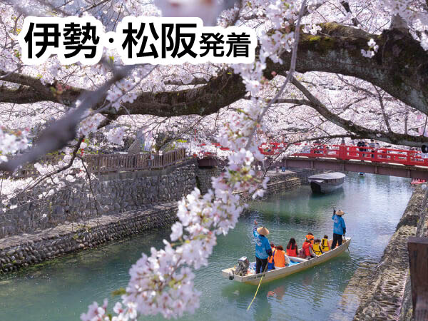 おおがき花見舟と根尾谷淡墨桜(2026)