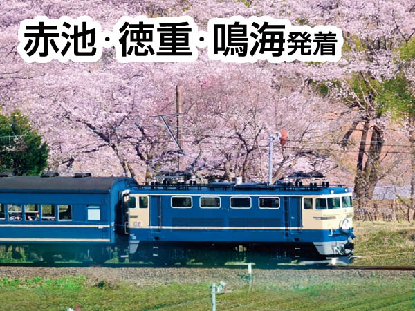 大井川鐵道さくら列車(2026)