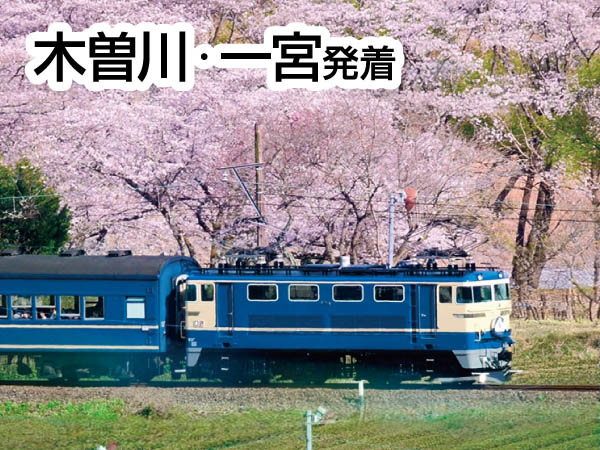 大井川鐵道さくら列車(2026)