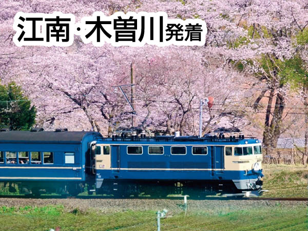 大井川鐵道さくら列車(2026)