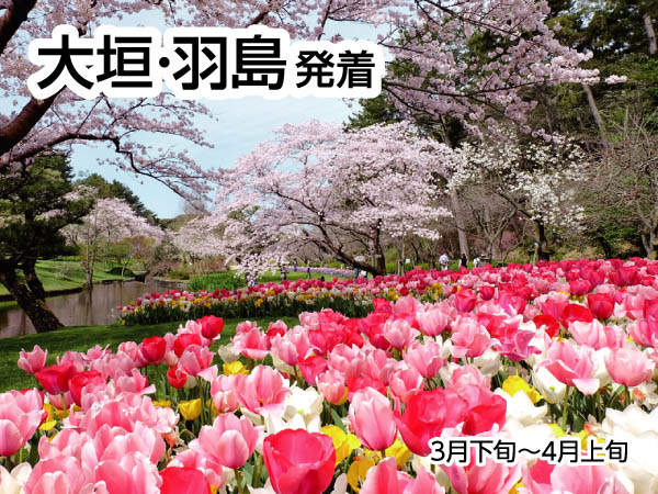 浜名湖花フェスタと苺狩り(2026)