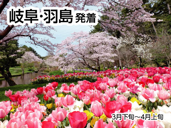 浜名湖花フェスタと苺狩り(2026)