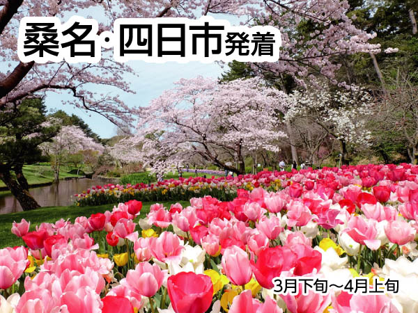 浜名湖花フェスタと苺狩り(2026)