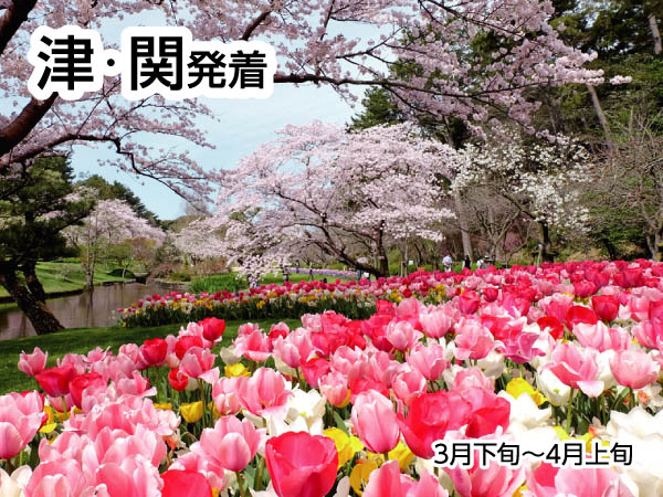 浜名湖花フェスタと苺狩り(2026)