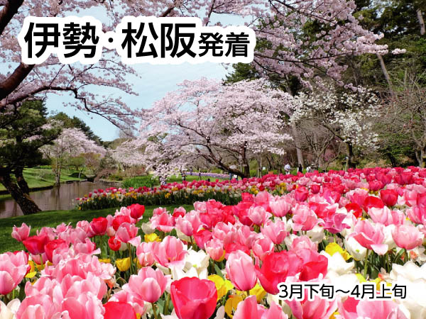 浜名湖花フェスタと苺狩り(2026)