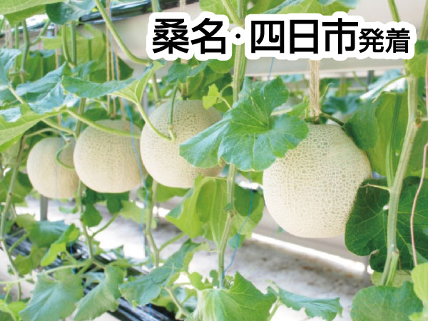 ロワジールホテルと伊良湖メロン3玉(2026)