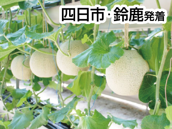 ロワジールホテルと伊良湖メロン3玉(2026)