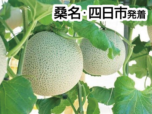 三河メロン２玉持ち帰りと豊川稲荷(2026)