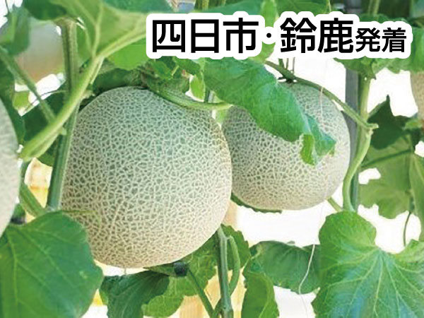 三河メロン２玉持ち帰りと豊川稲荷(2026)