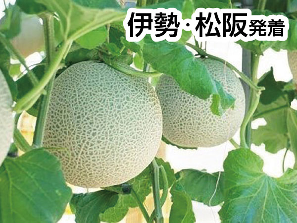 三河メロン２玉持ち帰りと豊川稲荷(2026)