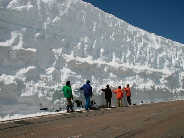 乗鞍スカイライン・畳平「雪の壁」(2026)　
