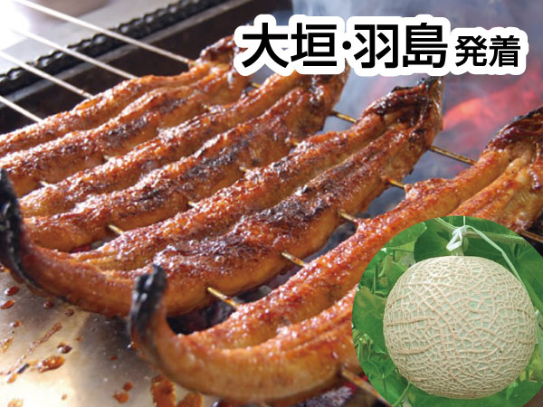 三河うなぎの兼光とメロン狩り(2026)