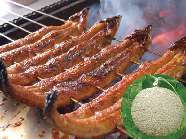 ツアーイメージ