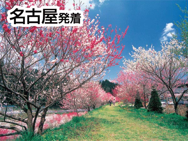 南信州・阿智村の花桃(2026)