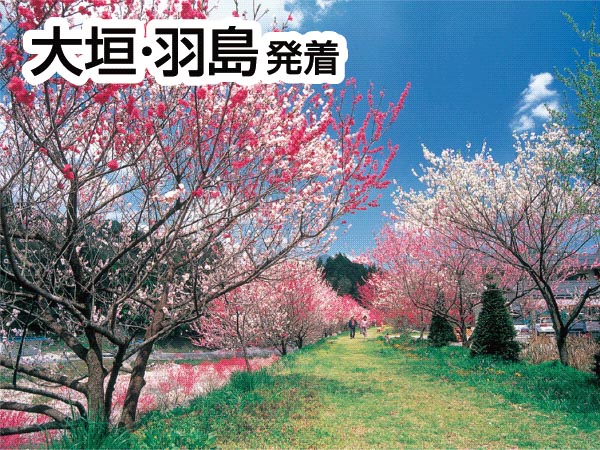 南信州・阿智村の花桃(2026)